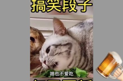 搞笑幽默小视频,搞笑幽默小视频精选集锦