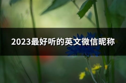 微信昵称大全2023,潮流与个性的完美融合