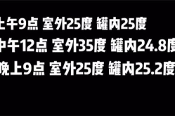 中石油加油小姐姐视频,展现行业新风采