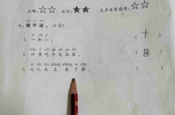 七人头上长草打一字,七人头上长草，巧妙谜面揭示一字之谜”